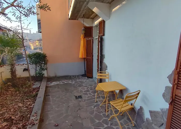 Nelly * ベルガモ